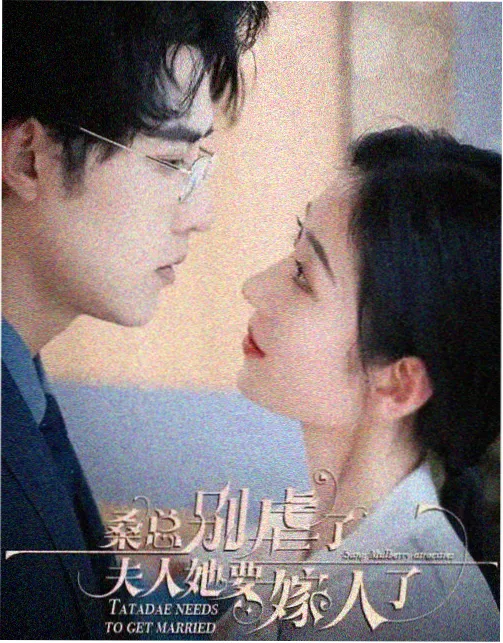 鸡毛飞上天 全集精编版